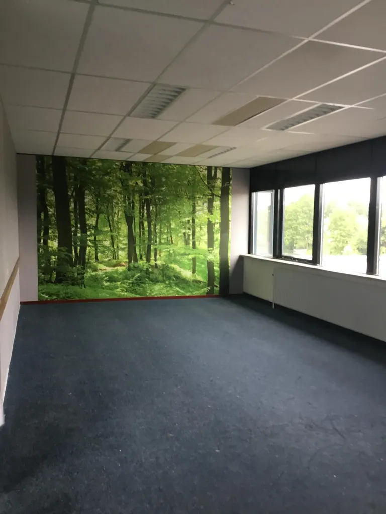 Kabinet - Antikraak Apartment in Emmen