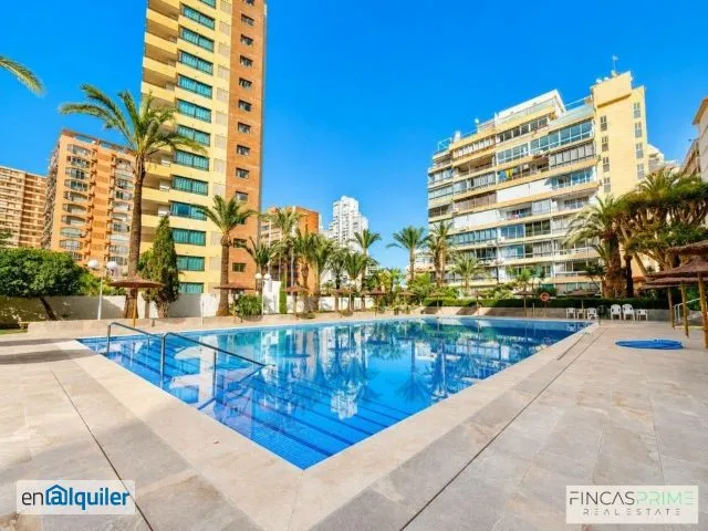 Pool - Studio Apartment with Air Conditioning in Rincón de Loix
