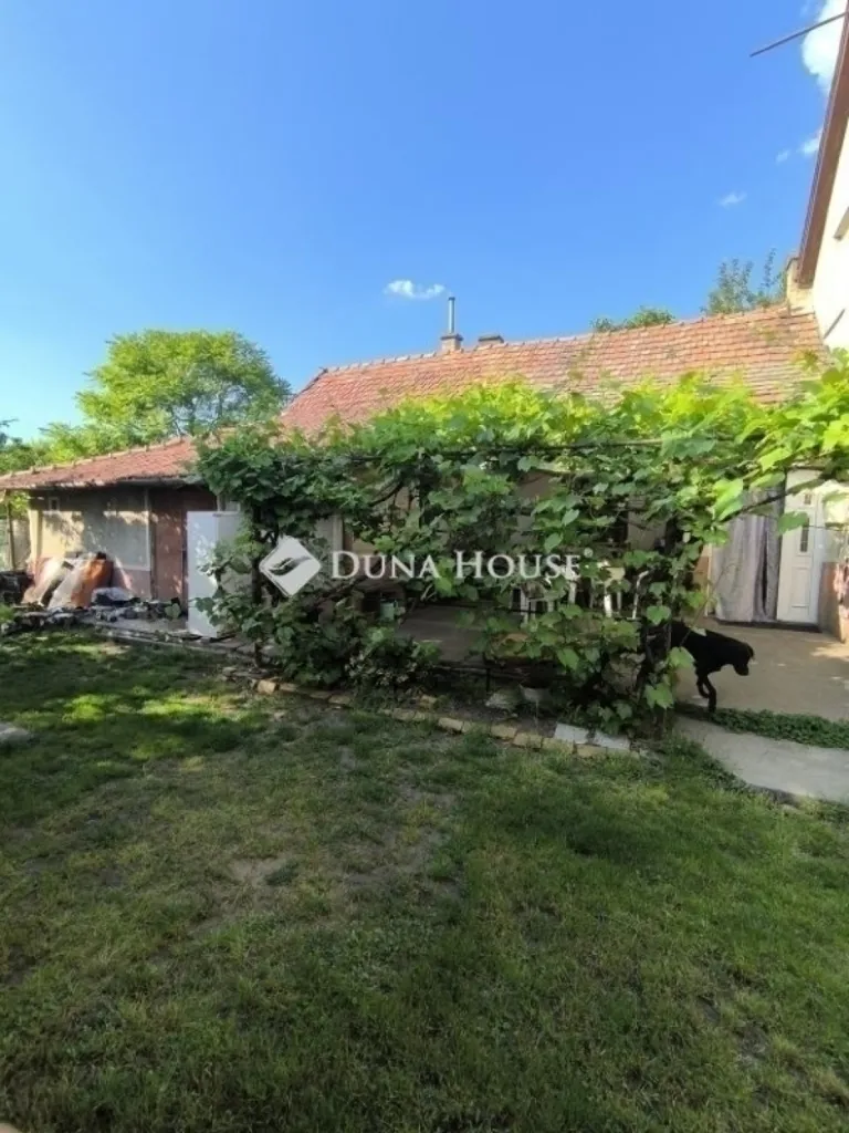 Aed - Family House with Large Plot in Monor