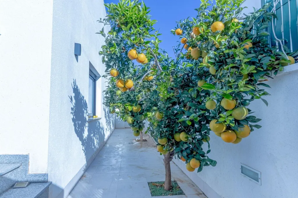 Garden - Villa with Private Pool near Mar Menor
