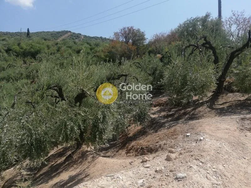 Jardin - Villa with Sea View in Aeghion