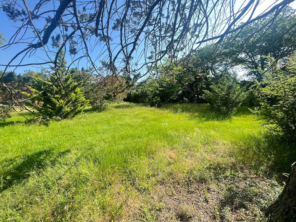 Aed - Detached House with Pool Potential in Montrabé