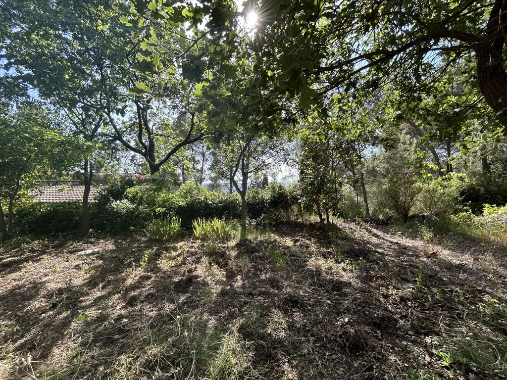 Giardino - Luxury House with Garden near Montpellier