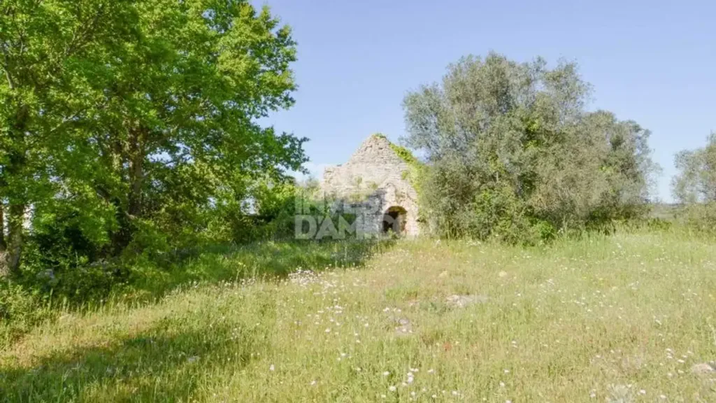 Aed - Traditional Trullo with Land in Ostuni
