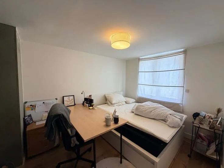 Magamistoad - City Centre Apartment in Antwerp