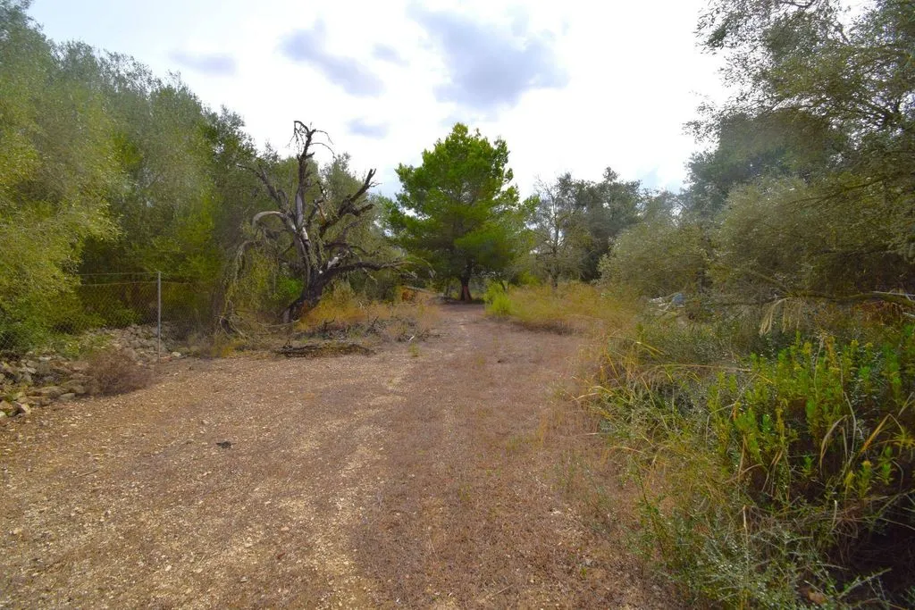 Aed - Rustic Plot with House Project in Muro