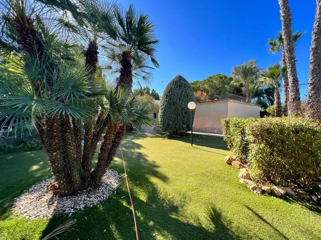 Aed - Detached House with Pool in Elche