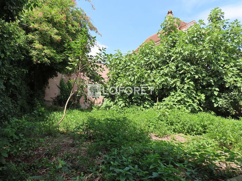 Jardin - Maison à Rénover avec Jardin à Benfeld