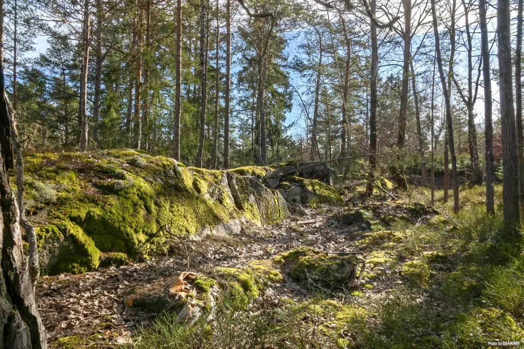 Terrain à Tyresö