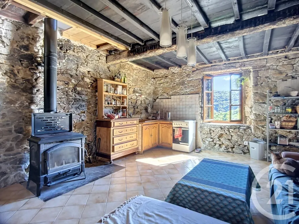 Séjour - Maison en Pierre avec Terrain à Aleu