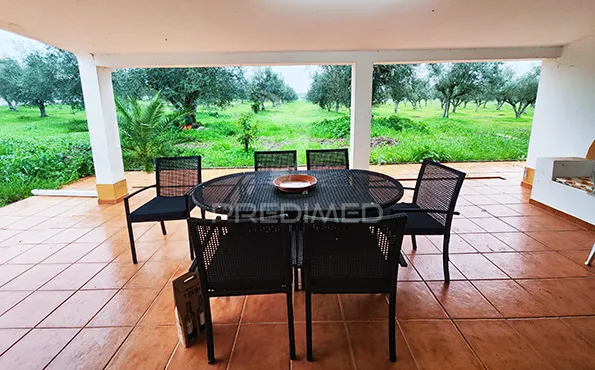 Terrasse - Remodelled Quinta with Olive Grove in Avis