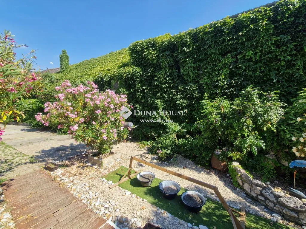 Aed - Mixed-Use Property with Garden in Baja