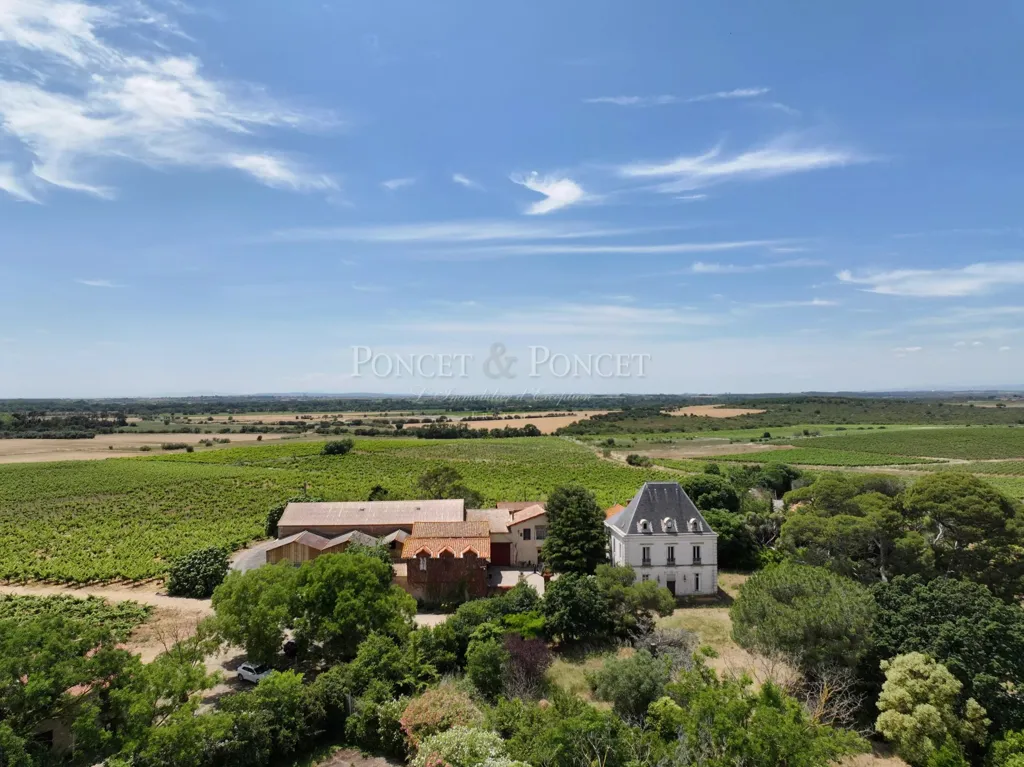 Õhuvaade - Vineyard Estate with Pool near Agde