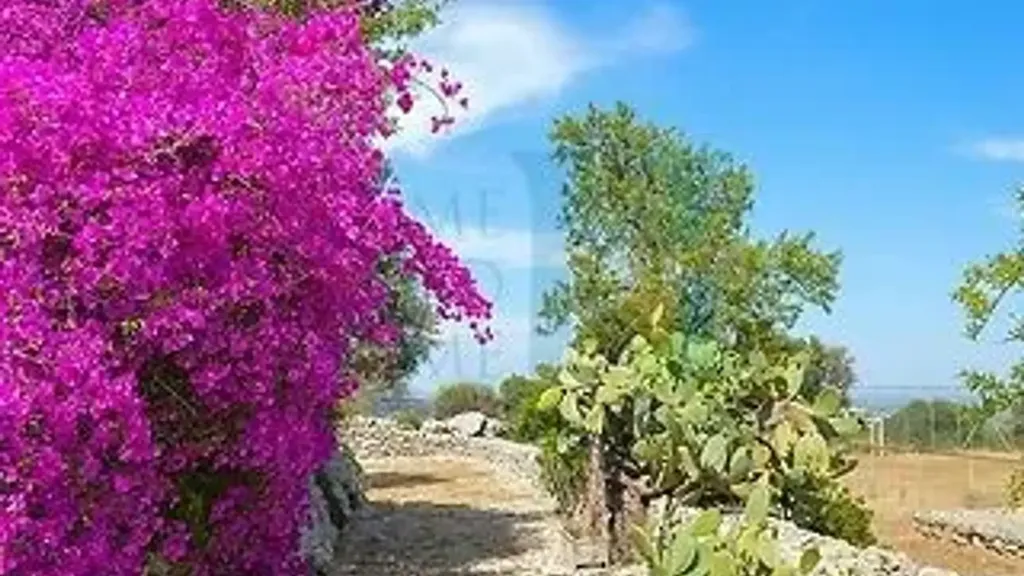 Jardin - Villa with Panoramic Views near Noto