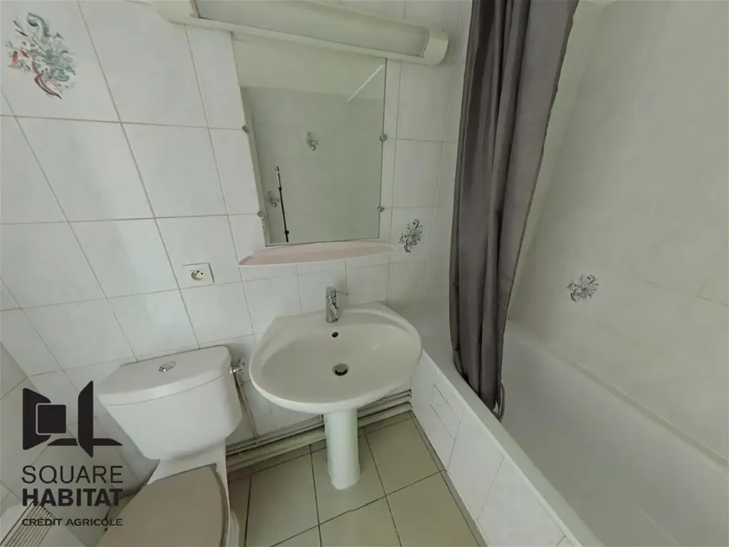 Vannitoad - One-Bedroom Flat in Centre-Gare, Tours