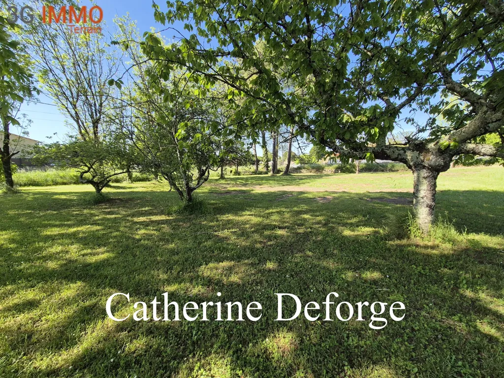 Jardin - Terrain Constructible Arboré près de Saint-André-de-Cubzac