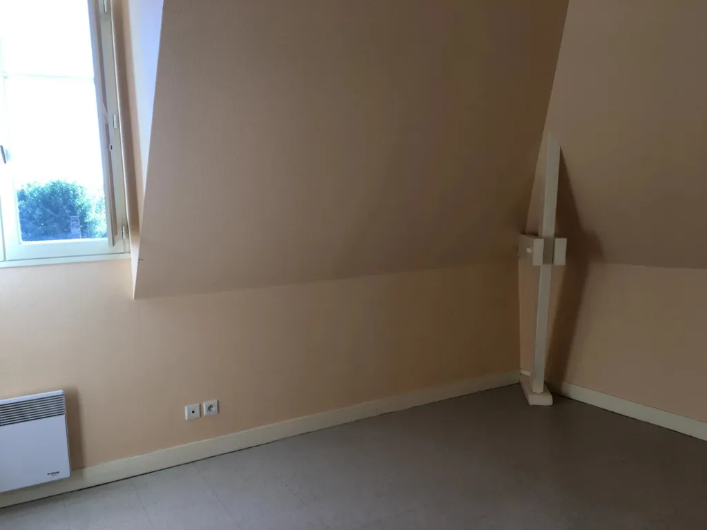Toad - Centre Flat with Castle View in Langeais