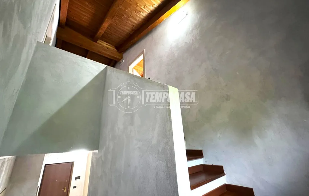 Toad - Modern Villa with Garden in Druento