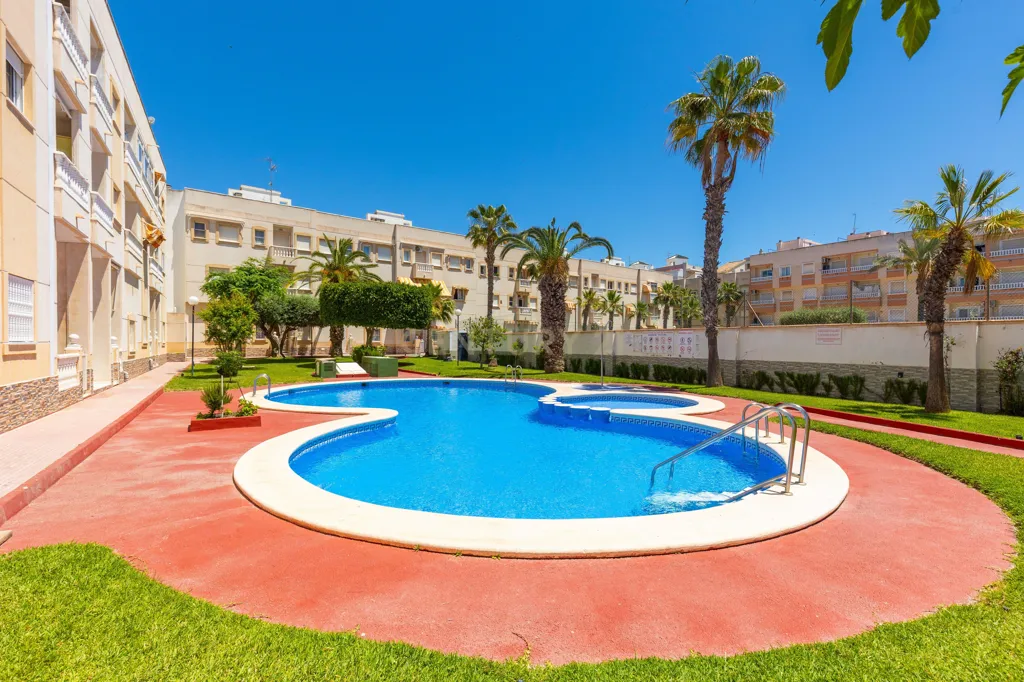 Piscine - Reform Studio with Pool in Torrevieja