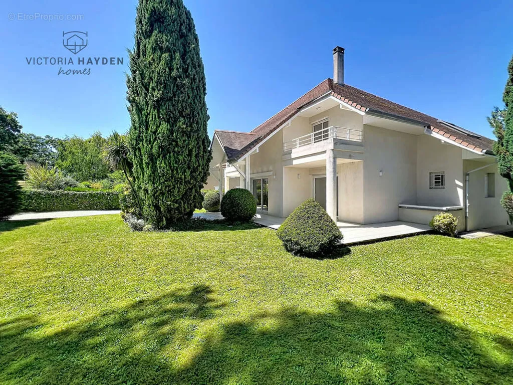 Jardin - Maison contemporaine avec terrasse à Idron