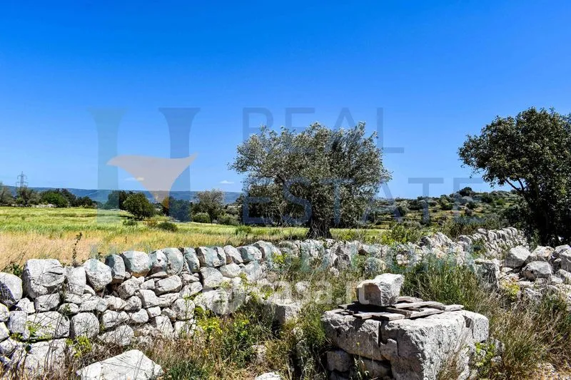 Garden - Rustic Cottage with Olive Grove in Modica