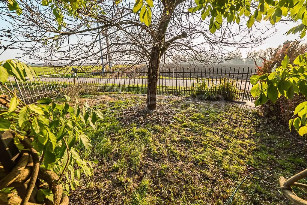 Jardin - Villa with Garden in Faule, Piemonte