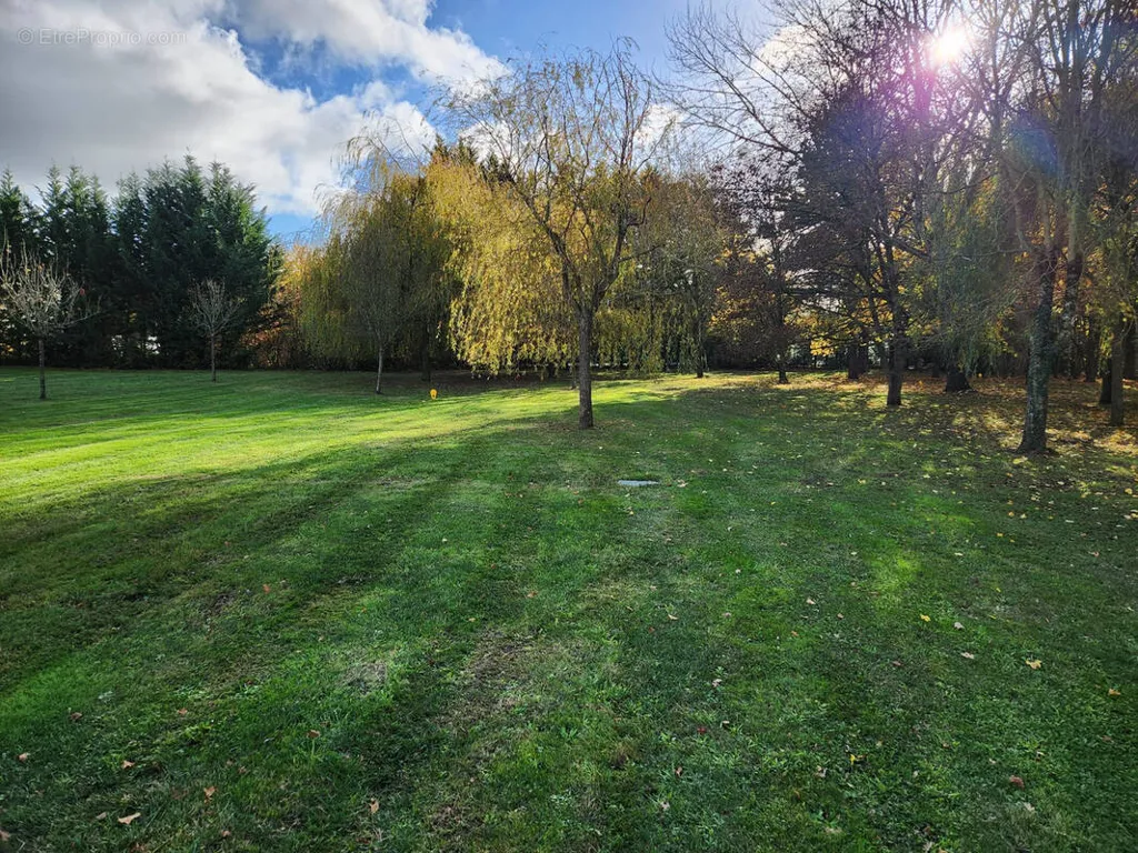 Aed - Buildable Plot with Garden near Brissac-Quincé