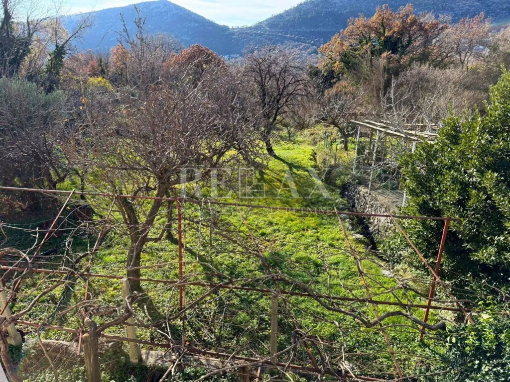 Giardino - Historic House with Garden in Bribir