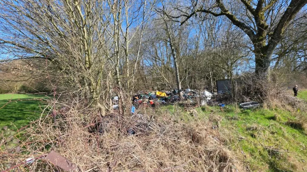 Garden - Buildable Land with Pastures near Eau d'Heure