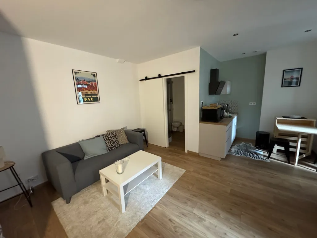 Séjour - Appartement Rénové 2 Pièces Centre-ville de Pau