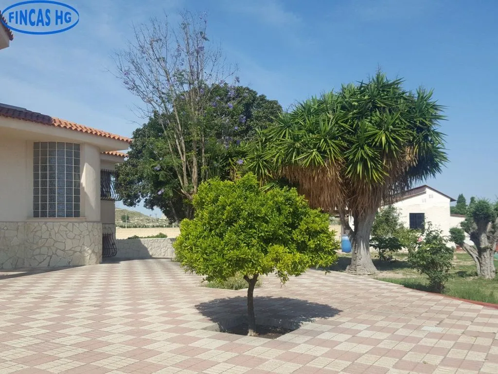 Extérieur - Luxury Villa with Pool in Alicante