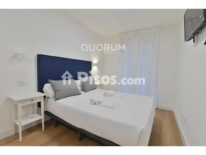 Magamistoad - Renovated Flat with Balcony in Alameda de Urquijo