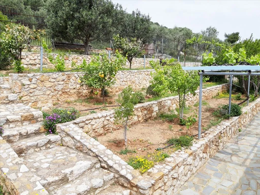Jardin - Maisonette with Panoramic Views in Daskaleio