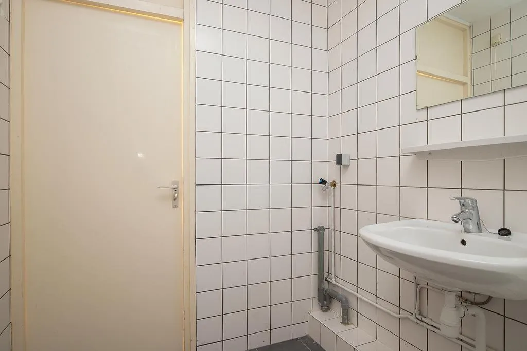 Vannitoad - 4-Bedroom Apartment with Balcony in Delft
