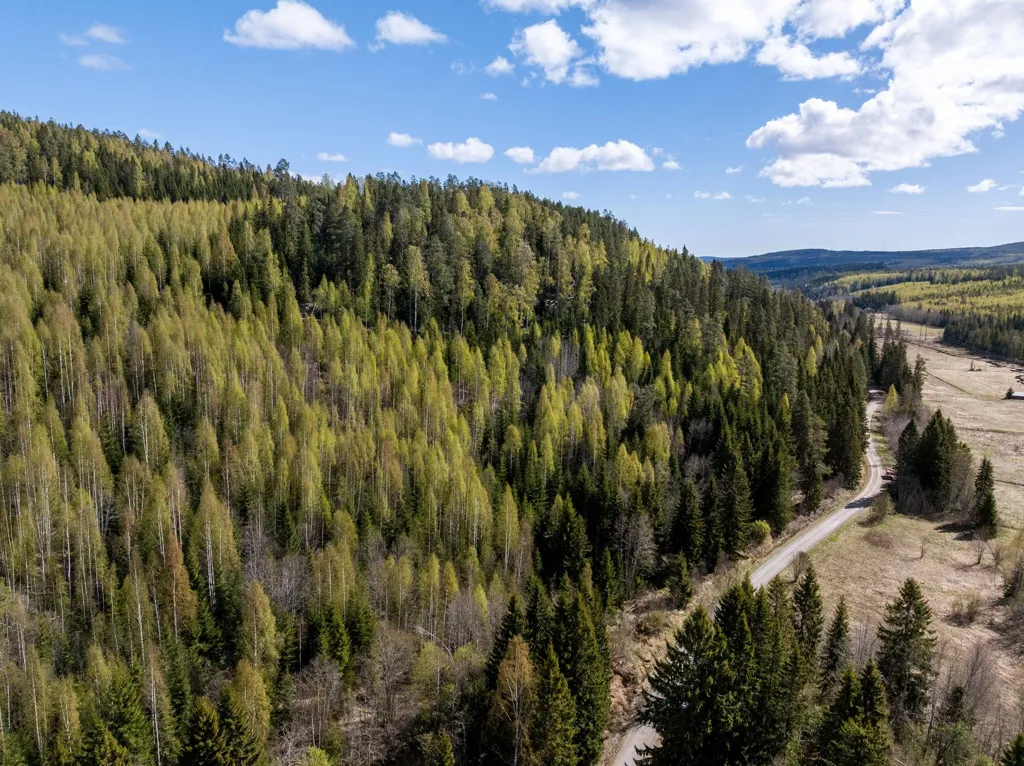 Giardino - Unbuilt Land with Forest in Sundsvall