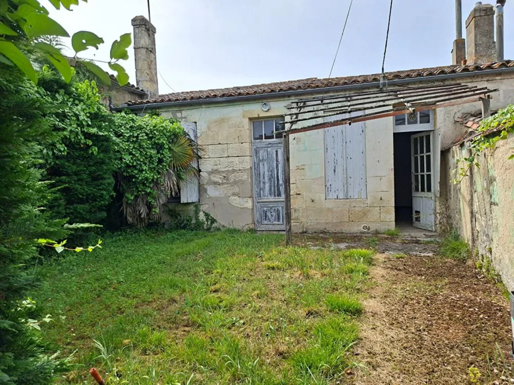 Garden - Master House with Pool in Saint-Estèphe