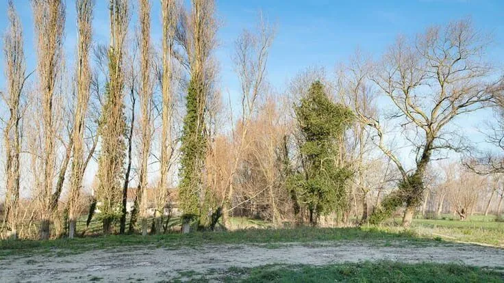 Bien à BE