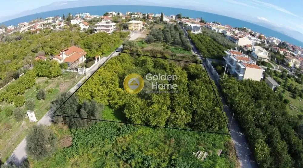 Vue aérienne - Plot with Lemon Trees near Sounio Coast