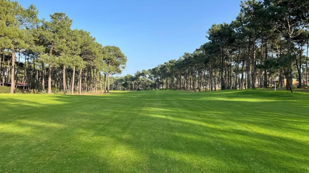Aed - Contemporary Villa with Golf View in Sesimbra