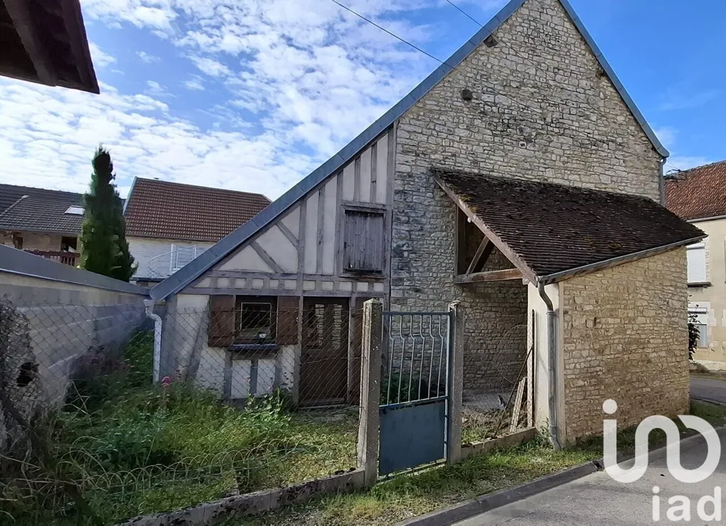 Garden - Restoration-Ready Stone House in Loches-sur-Ource