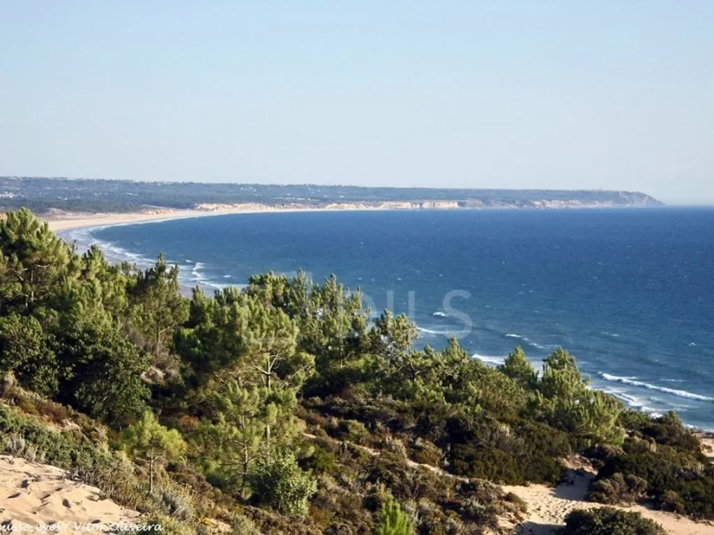 Luxury Villa with Forest Setting in Aroeira, Almada