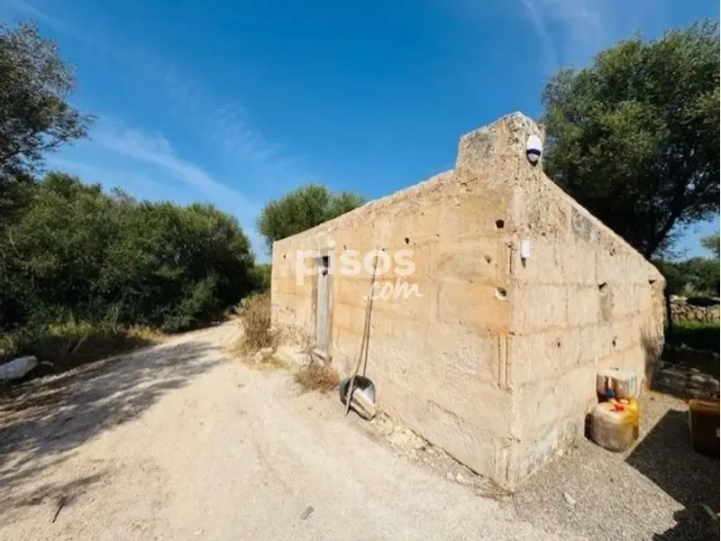 Extérieur - Rustic Finca with Pool near Manacor