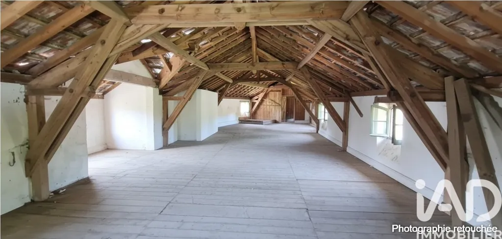 Toad - Character House with Pool in Pissos