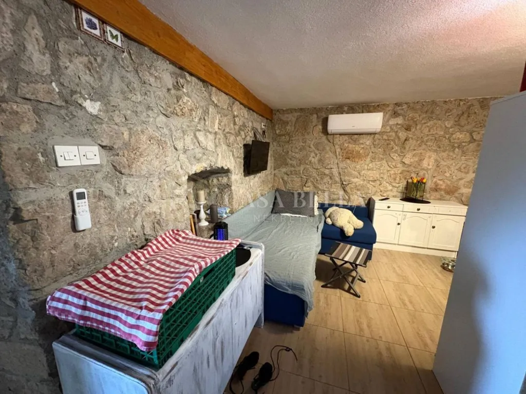 Elutuba - Stone House with Potential in Grižane, Vinodolska