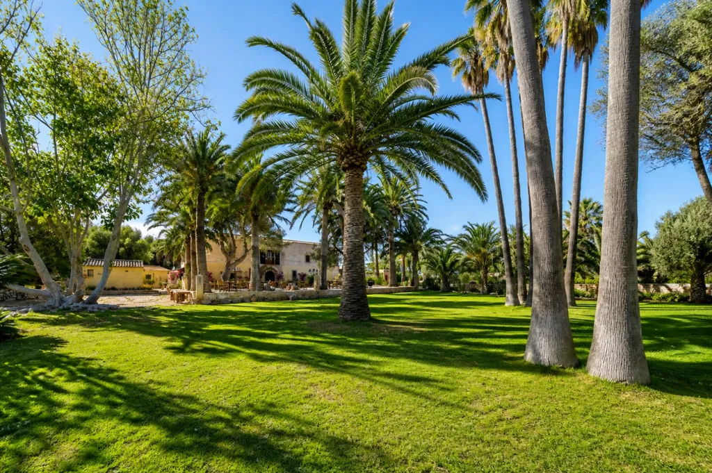 Jardin - Triplex with Pool in Santa Margalida