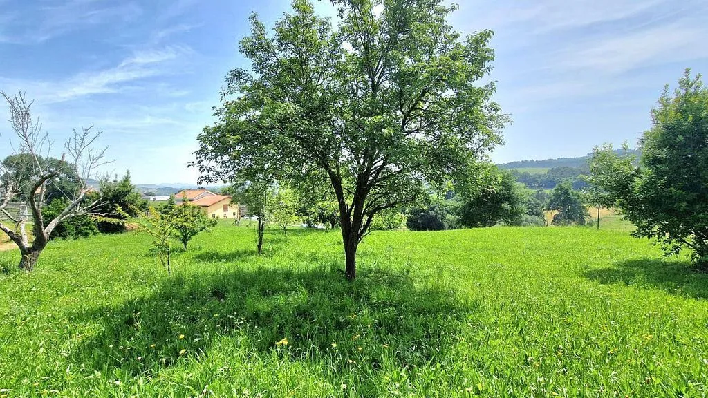 Aed - Chalet with Terrace in Reocín