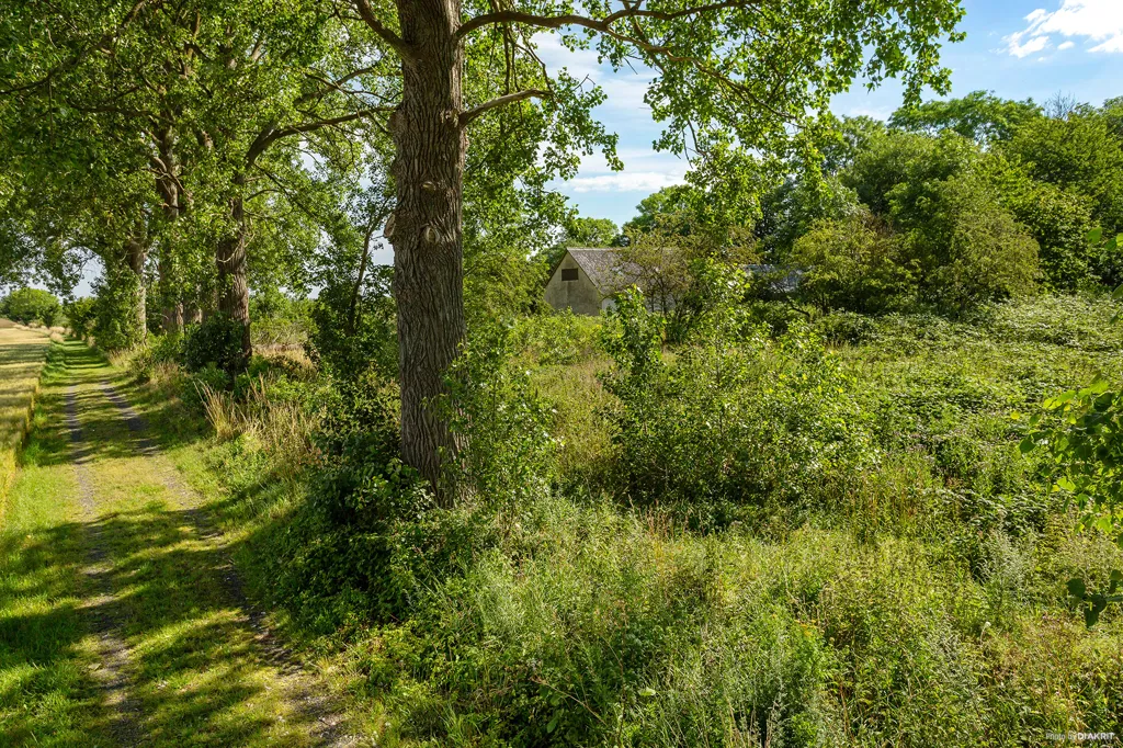 Aed - Large Natural Plot with Farmhouse in Simrishamn