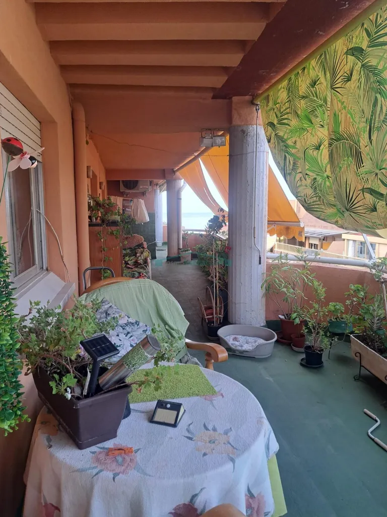 terrace_patio