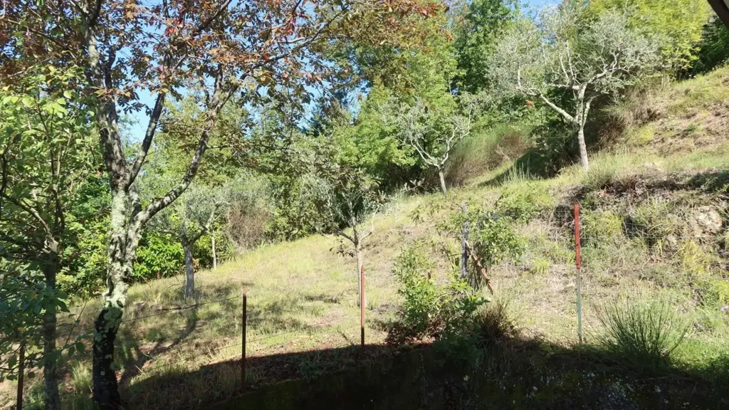 land_plot