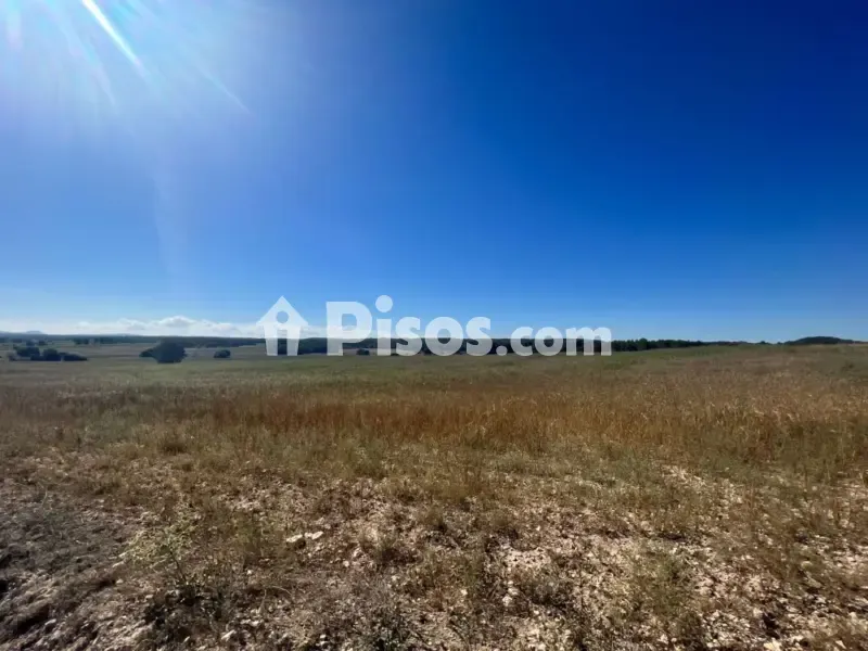 Jardin - Historic Finca with Vineyards in Requena